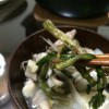 仙台セリ鍋を作ってみた！3月6日の山菜採り(ふきのとう,セリ)